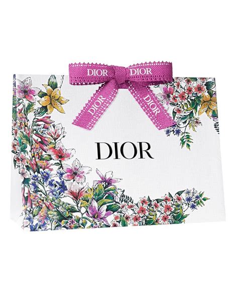 dior gift bag